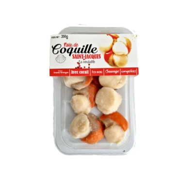Les mollusques Visuel 1 principal
